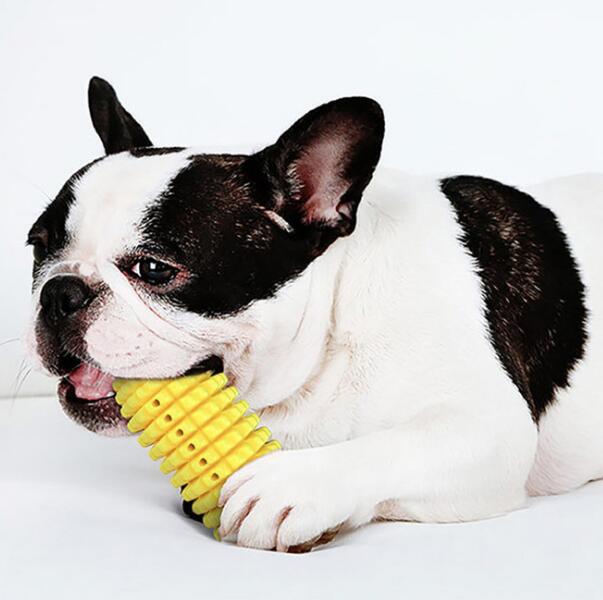 durable corn intelligence toy